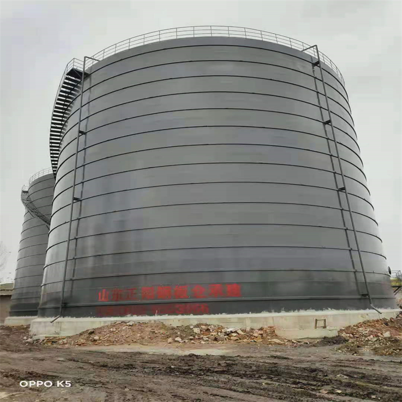 册亨3万吨大型钢板库