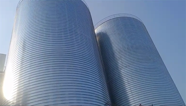 册亨2座混凝土高架卷板仓